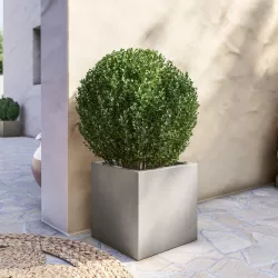 Vaso da interno o giardino Ø80x71h cm in polietilene tortora