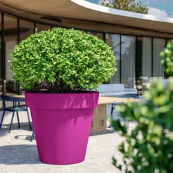 Vaso tutta capienza rotondo 100 cm in polietilene viola - Svizh