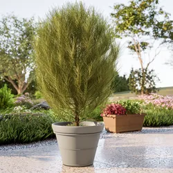 Vaso liscio rotondo 50 cm in polietilene tortora - Bodeja