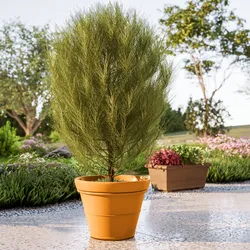 Vaso liscio rotondo 50 cm in polietilene ocra - Bodeja