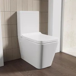 Vaso monoblocco rimless in ceramica bianco con copriwc softclose - Lena