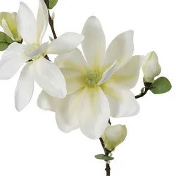 Stelo di magnolia artificiale 80h cm bianco