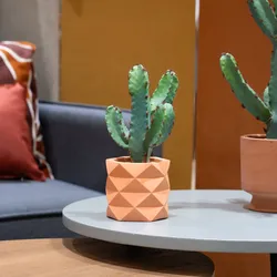 Pianta artificiale di cactus 24h cm in vaso di terracotta