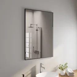LOAAO Specchio Da Bagno Nichel Spazzolato 71x91 Cm: Rettangolare, Classico E Moderno, Perfetto Per Ogni Stanza - 3