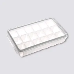 Stampo per ghiaccio in polipropilene trasparente con coperchio