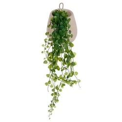 Pianta artificiale di edera 13h cm con vaso beige e gancio