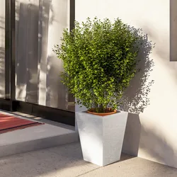 Portavaso da esterno rustico 39 h cm in polietilene bianco - Allicy