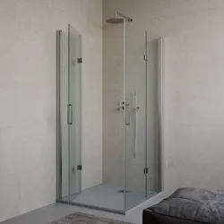 Box doccia 90x100 cm doppio soffietto in cristallo anticalcare trasparente 195h - Tempo Evo