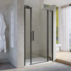 Box doccia nicchia 115 cm 20 giunto + 70 battente + 25 fisso con vetro temperato trasparente e profilo nero opaco 195h - Nilo