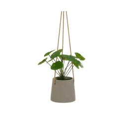 Pianta artificiale pendente 24h cm in vaso tortora
