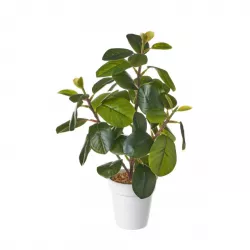 Pianta artificiale di ficus 29h cm in vaso bianco