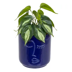 Elements Composizione Floreale Artificiale Di Iris Blu In Vaso Di Ceramica Bianca, Pianta Finta Per Decorazione Casa, Ufficio, Tavolo, Mensola, Altezza 45,7 Cm