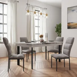 Set 4 sedie in velluto grigio chiaro e struttura in metallo nero - Feyd