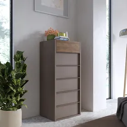 Cassettiera 51x115h cm con 6 cassetti soft close bronzo e mercure - Eldon