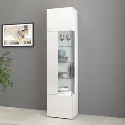 Vetrina 45x190h cm bianco lucido con 1 anta e 5 ripiani- Carim
