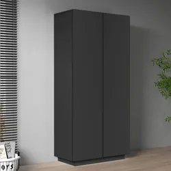 Armadio 80x166h cm antracite opaco con 2 ante - Canadian