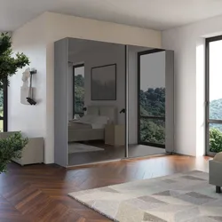 Armadio 275x240h cm ardesia con 2 ante scorrevoli specchio fumè - Boyce