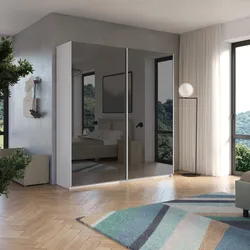 Armadio 220x240h cm bianco con 2 ante scorrevoli specchio fumè - Boyce