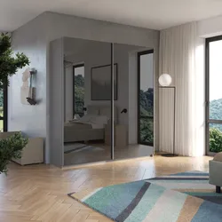 Armadio 220x240h cm ardesia con 2 ante scorrevoli specchio fumè - Boyce