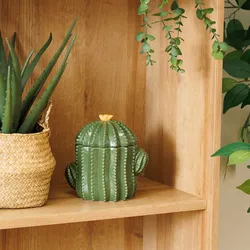 Scatola decorativa rotonda 11 cm cactus in ceramica verde