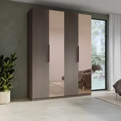 Armadio battente 183x240h cm 4 ante reversibili con 2 specchi bronzati e soft close bronzo - Codey