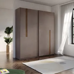 Armadio 2220x240h cm con 2 ante scorrevoli bronzo e mercure - Eldon