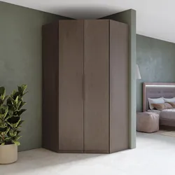 Cabina angolare 119x240h cm con 2 ante battenti bronzo - Codey