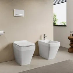 Sanitari filomuro in ceramica rimless con sedile copriwc - Baden
