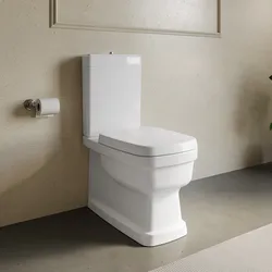 Vaso filomuro con scarico monoblocco tradizionale in ceramica con sedile Softclose - Evolution