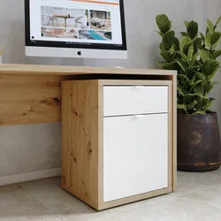 Cassettiera 55x65h rovere artisan con 1 anta e 1 cassetto bianco lucido - Neos