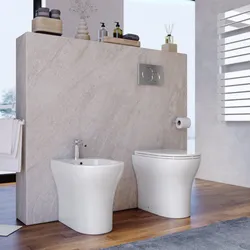 Sanitari filomuro in ceramica senza brida con sedile softclose - Zela