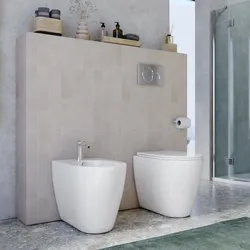 Sanitari filomuro in ceramica con sedile softclose e sgancio rapido - Palt