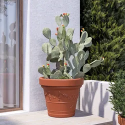 Vaso da esterno rotondo 80 cm festonato tutta capienza in polietilene terracotta - Fester
