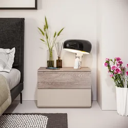 Comodino 60x43h cm cashmere opaco e rovere gessato con 2 cassetti - Noiba