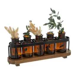 Set 5 piante secche 34h cm in vasi in vetro ambrato e legno