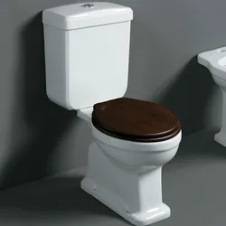Vaso monoblocco classico in ceramica per bagno rétro con copriwc Soft Close noce - Londra di Simas