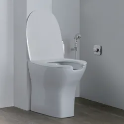 Wc filomuro Evolution di Sanitosco con apertura frontale accessibile con sedile copriwc