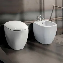 Sanitari filomuro a cacciata rimfree sedile SoftClose Serie Citterio - Geberit