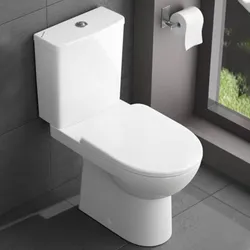 Vaso monoblocco a cacciata rimfree allaccio inferiore cerniere inox Serie Selnova - Geberit