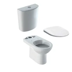Vaso monoblocco a cacciata scarico orizzontale allaccio inferiore sedile SoftClose Serie Selnova - Geberit