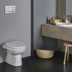 Vaso filomuro a cacciata rimfree scarico orizzontale sedile SoftClose Serie Selnova - Geberit