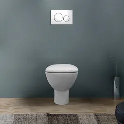 Vaso a cacciata scarico orizzontale sedile SoftClose Serie Fantasia - Geberit