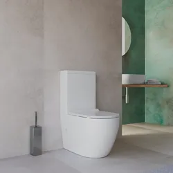 Vaso filomuro monoblocco con copriwc - Nadir
