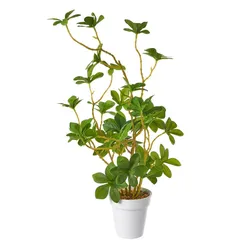 Pianta artificiale 41h cm con vaso bianco