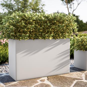 Skelang Fioriera Rettangolare 42,5 Cm – Vaso In Plastica Con Sottovaso, Set Da 3 Per Piante Grasse, Fiori E Balcone (Crema E Marrone) - 3