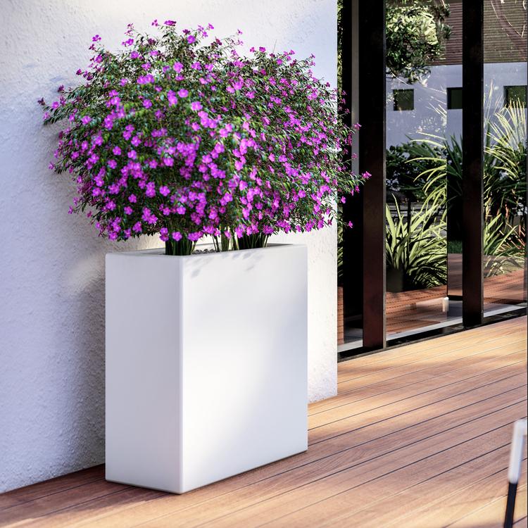 Skelang Vaso Rettangolare 42,5 Cm – Fioriera In Plastica Opaca Con Sottovaso, 3 Pezzi Per Piante Grasse E Fiori, Ideale Per Balcone E Interni