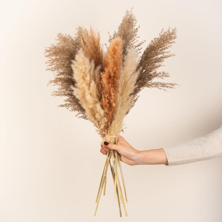 Fiori secchi decorativi Bouquet Erba Della Pampas Decorative 40-44 cm di fiori secchi naturali fai da te Ideale per il soggiorno Boho Camera da letto e vasi (LZGSGO-0117