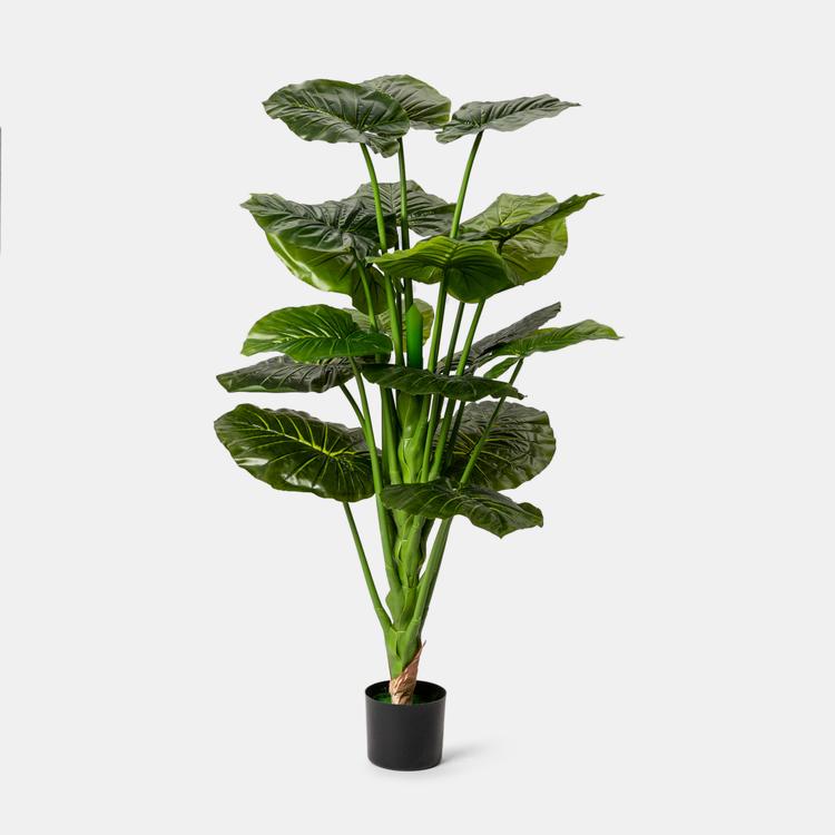 Set 2 Piante Artificiali Appese - Eucalipto Finto In Vasi Bianchi Con Pietre - Foto 8