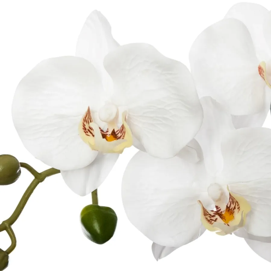 Pianta Artificiale Orchidea In Vaso - 55cm, Bianca, Realistica - 3