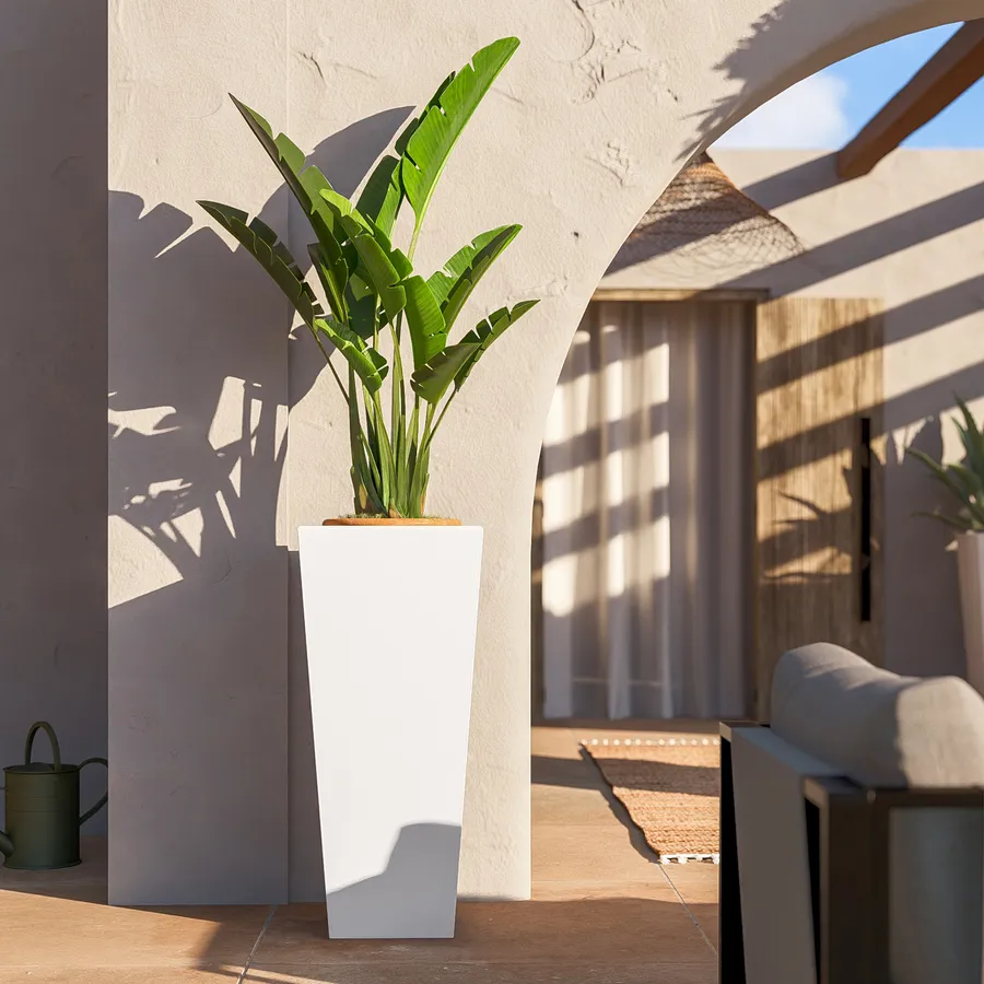 Portavasi in resina - Vasi E Contenitori - Spedizione Gratuita Per Gli Articoli Spediti...Portavasi da interno, eleganti e di design | Westwing